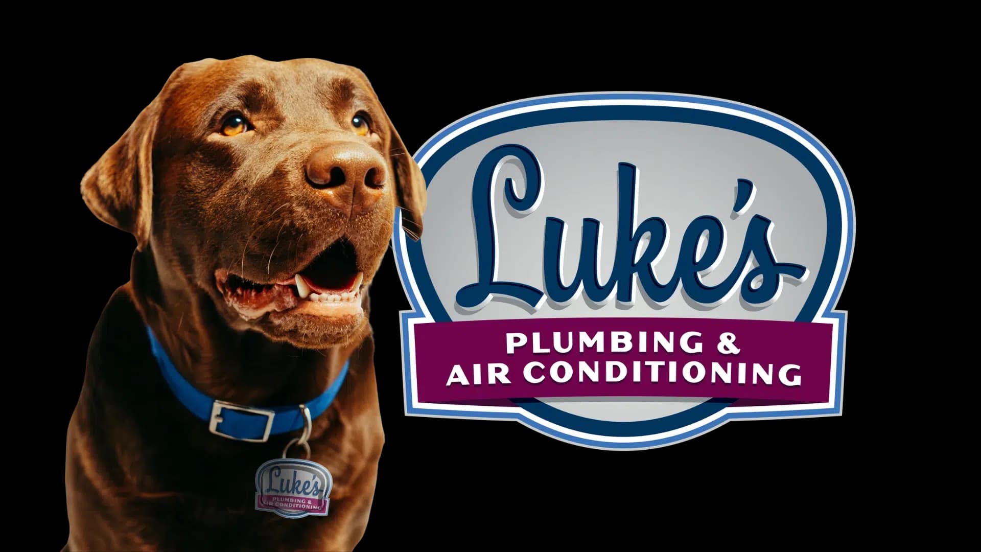 logo image