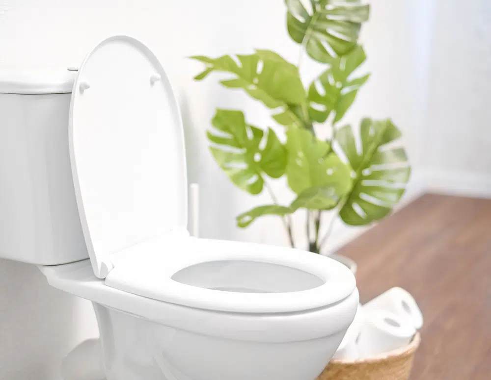 Toilet in residential home in Houston, TX.