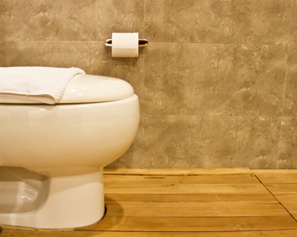 Toilet in the modern bathroom
